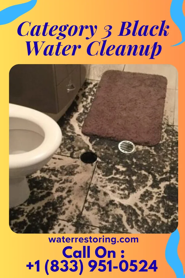 Category 3 Black Water Cleanup in Sharpsburg, MD