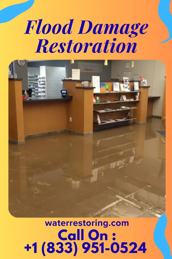 Flood Damage Restoration in Sharpsburg, MD