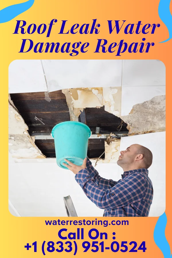 Roof Leak Water Damage Repair in Sharpsburg, MD